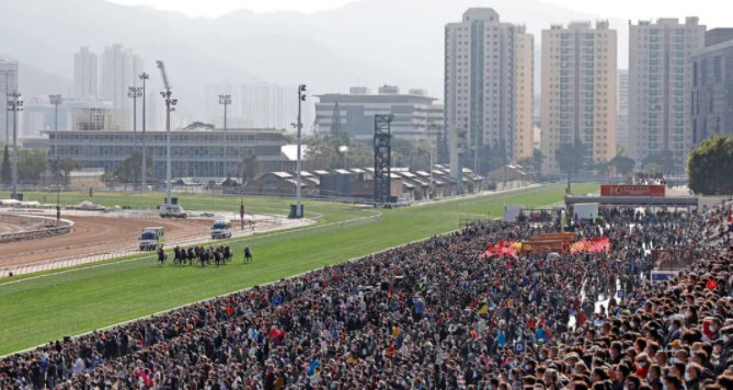 大乐透期号,专家推荐,浪漫勇士潜,香港赛马会主页,赛程安排,赛果查询,马匹资料,比赛分析