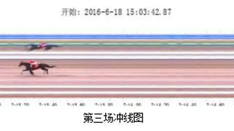 深圳马术赛事政策发布，最高资助达千万